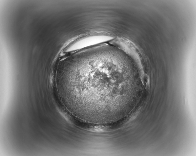 X0000084530064200703161616