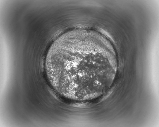 X0000084530065200703161616