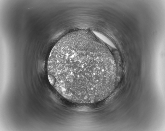 X0000084530066200703161616