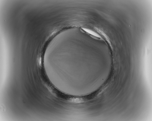 X0000084530067200703161616