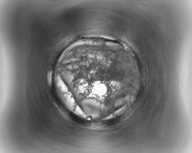 X0000084530070200703161616