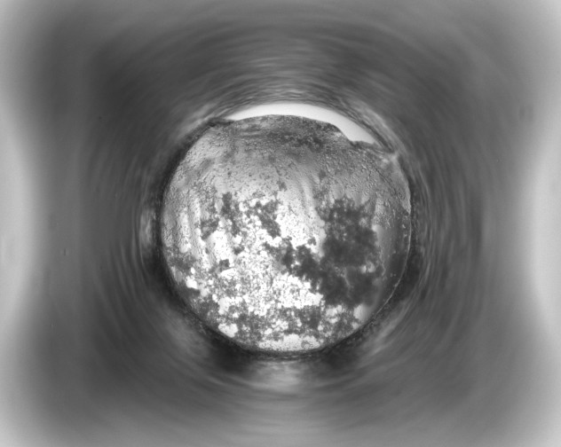 X0000084530071200703161616