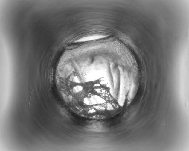 X0000084530073200703161616