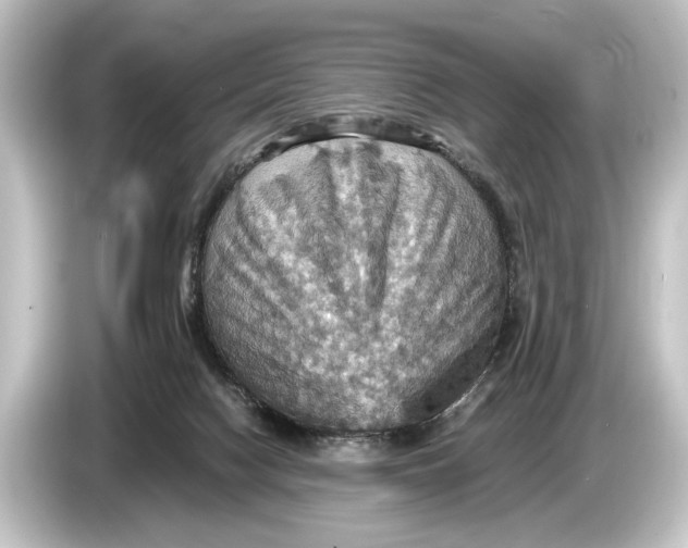 X0000084530074200703161616