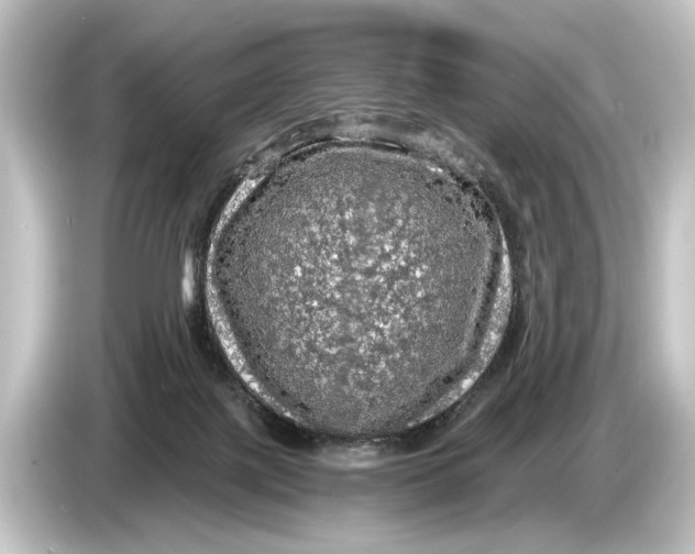 X0000084530075200703161616