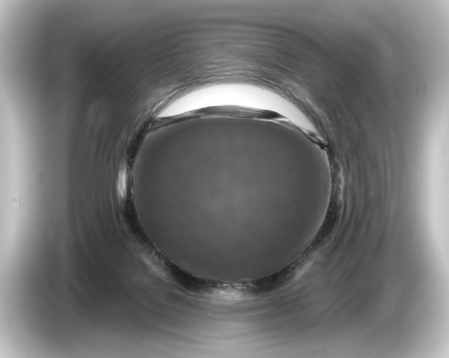 X0000084530076200703161616