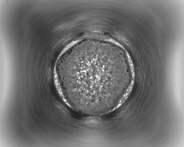 X0000084530077200703161616