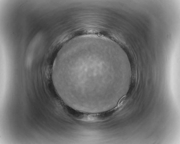 X0000084530078200703161616