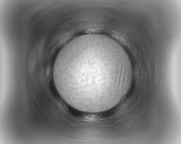 X0000084530079200703161616