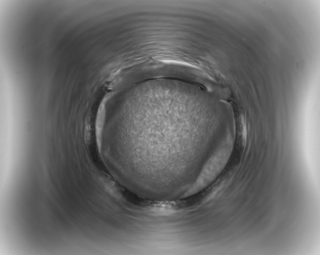 X0000084530080200703161616