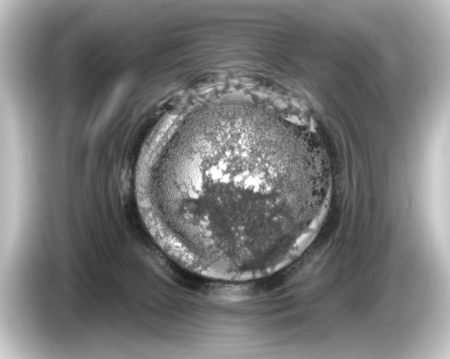 X0000084530081200703161616