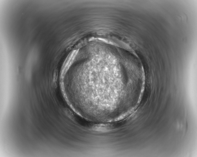 X0000084530082200703161616