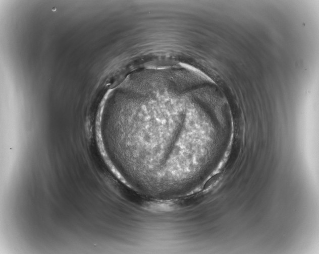 X0000084530086200703161616