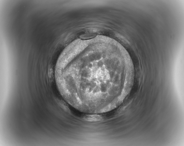 X0000084530087200703161616