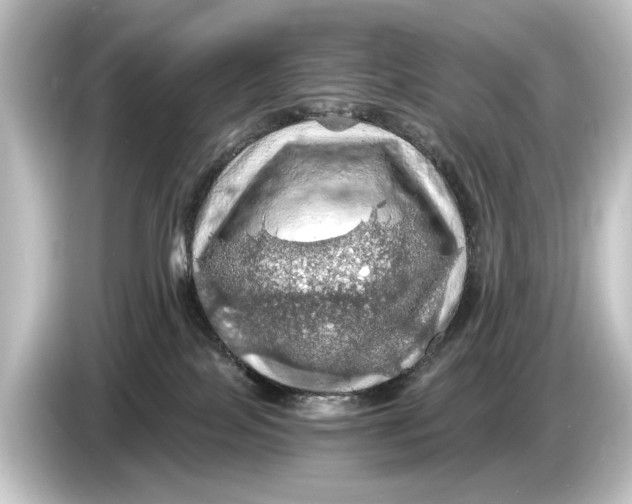 X0000084530089200703161616