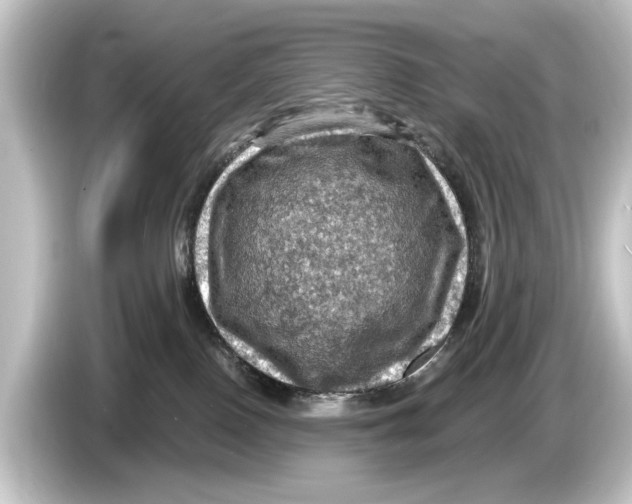 X0000084530090200703161617