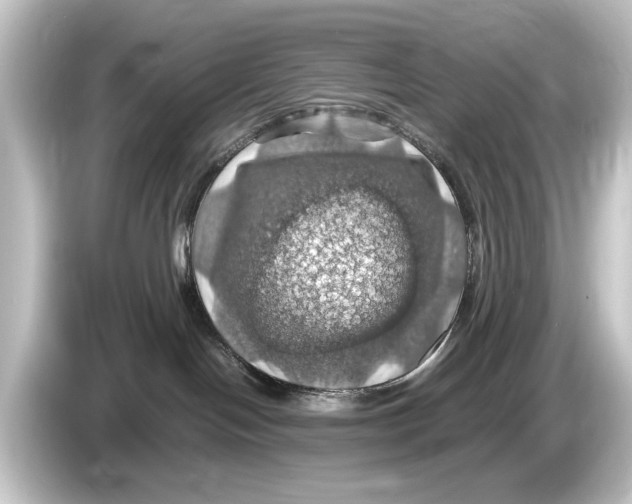 X0000084530094200703161617