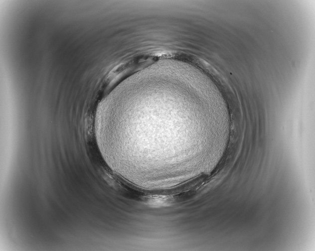 X0000084530096200703161617