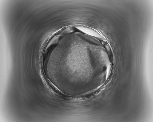 X0000084530097200703161616