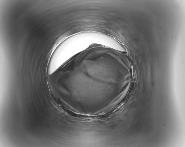 X0000084530099200703161616