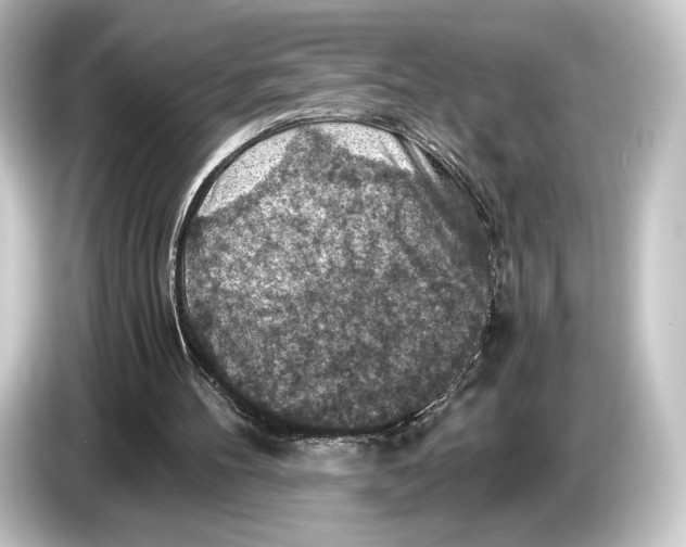 X0000084530100200703161616