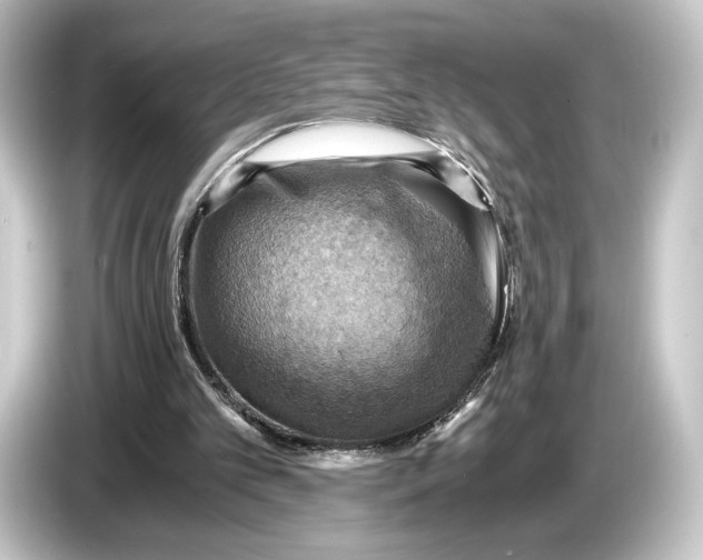 X0000084530101200703161616