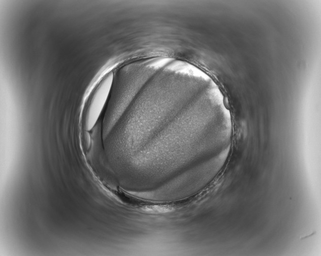 X0000084530102200703161616