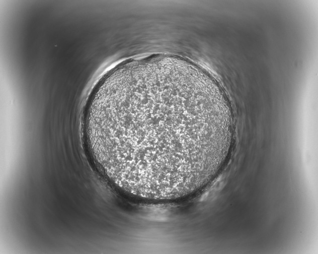 X0000084530103200703161616