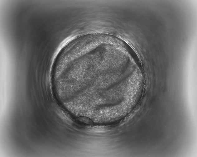 X0000084530104200703161616