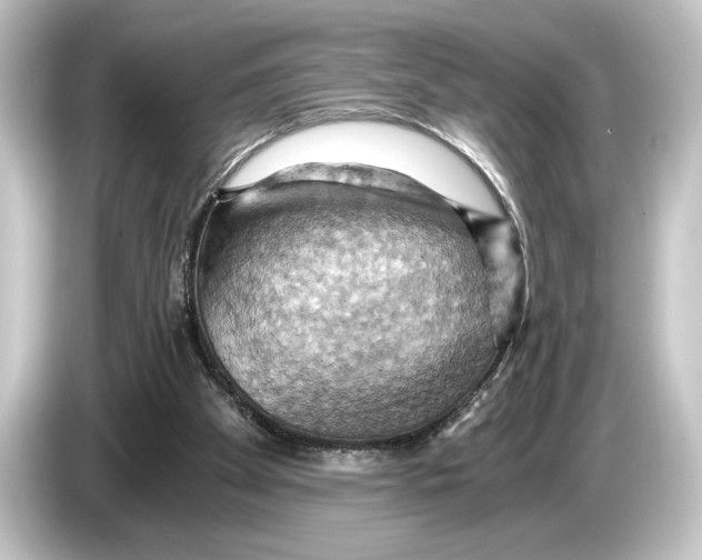 X0000084530105200703161616