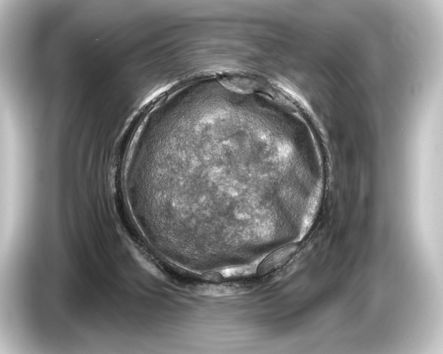 X0000084530106200703161616