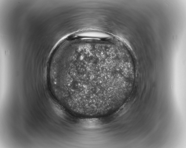 X0000084530108200703161616