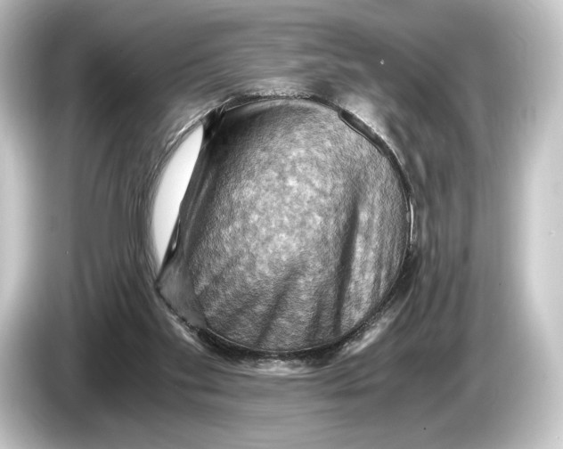 X0000084530109200703161616