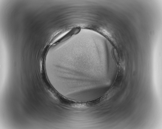 X0000084530110200703161616