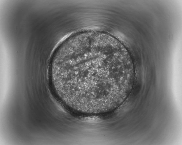 X0000084530112200703161616