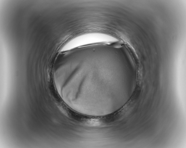 X0000084530114200703161616