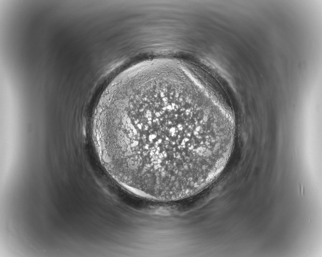 X0000084530115200703161616