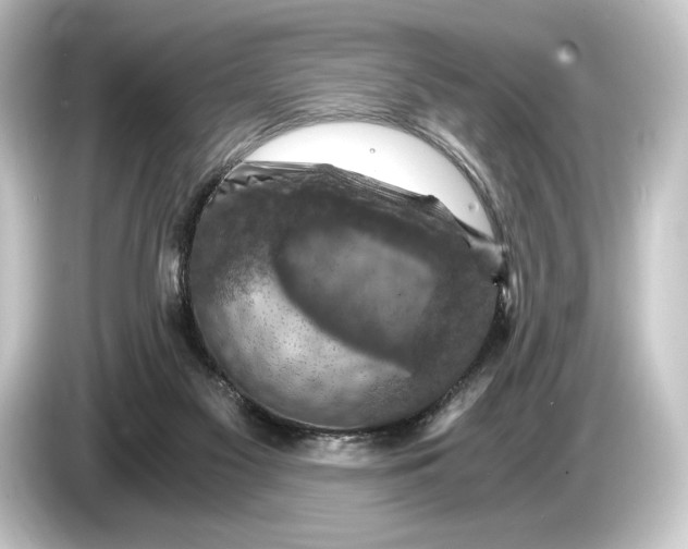 X0000084530117200703161616