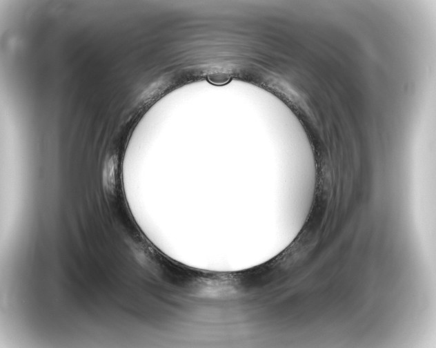 X0000084530118200703161616