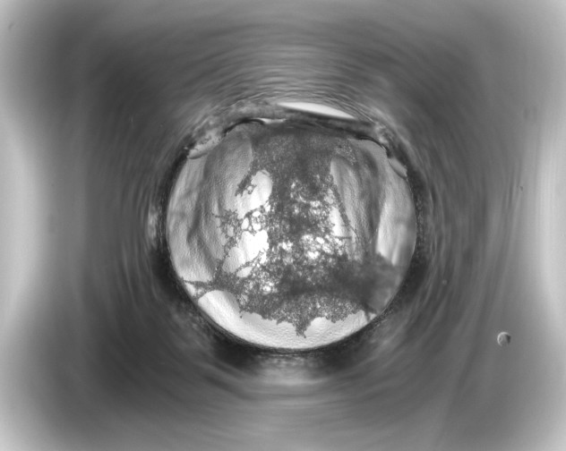 X0000084530123200703161616