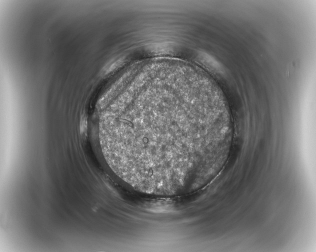 X0000084530124200703161616