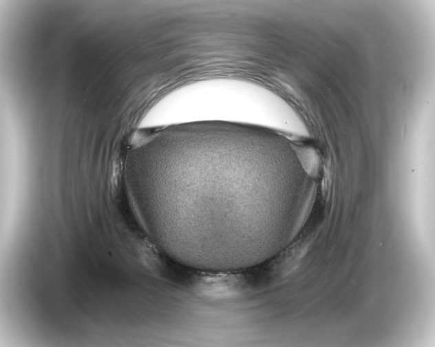 X0000084530125200703161616