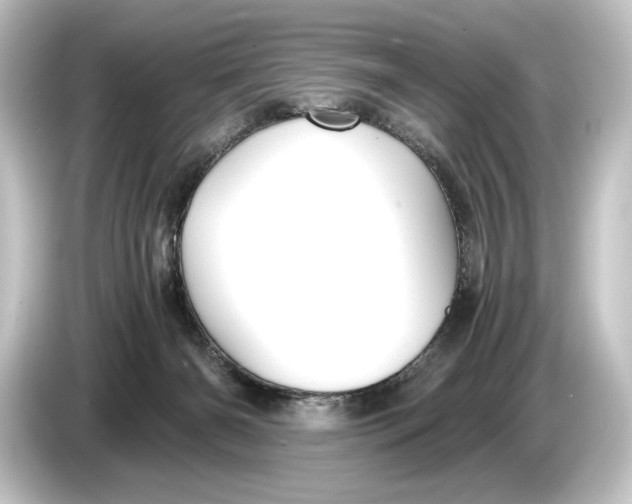 X0000084530126200703161616