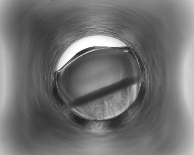 X0000084530127200703161616