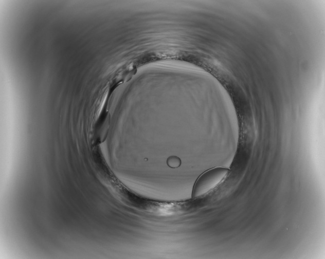 X0000084530130200703161616