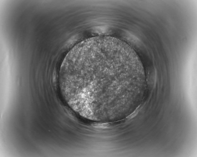 X0000084530132200703161616