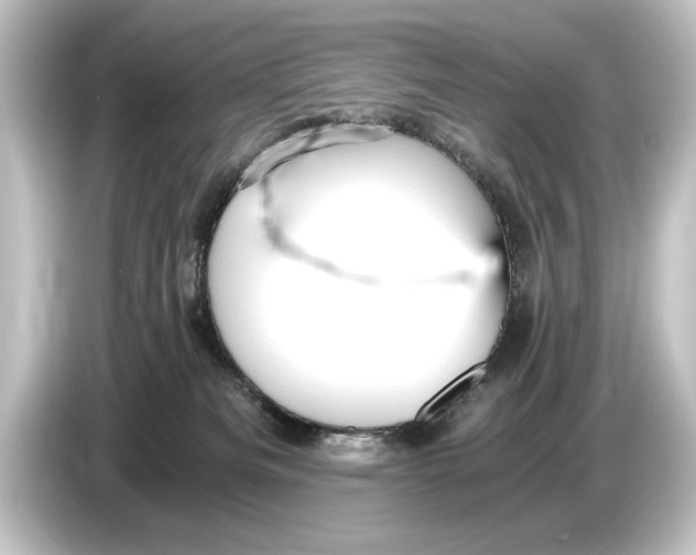 X0000084530133200703161616