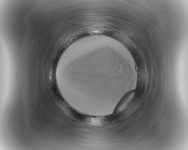 X0000084530134200703161616