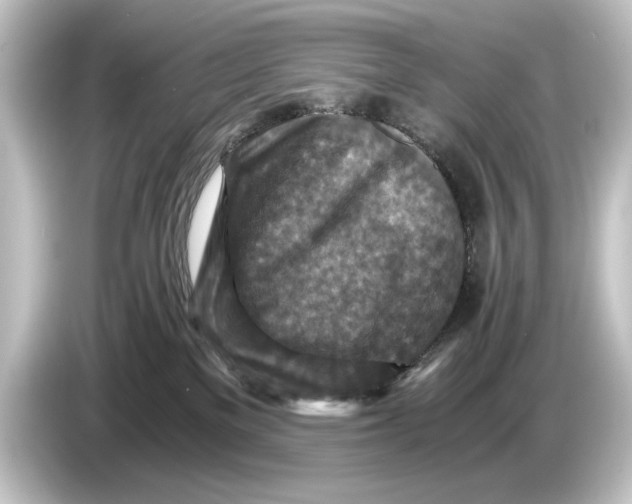 X0000084530137200703161615