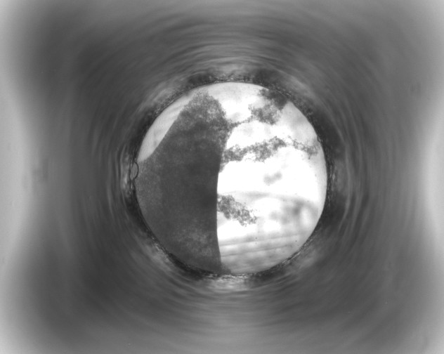 X0000084530138200703161615